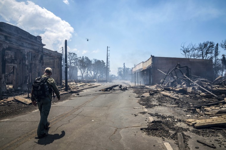 Burned cars and destroyed buildings on Front Street after the Lahaina fire